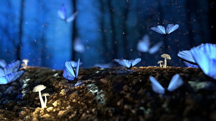 Bright blue butterflies glowing in the dark